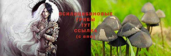 спайс Белокуриха