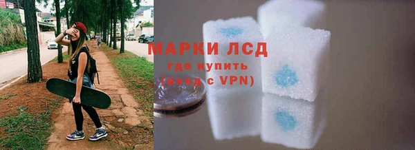 прущие грибы Беломорск