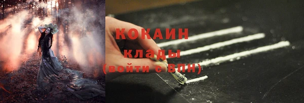 прущие грибы Беломорск