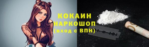 прущие грибы Беломорск