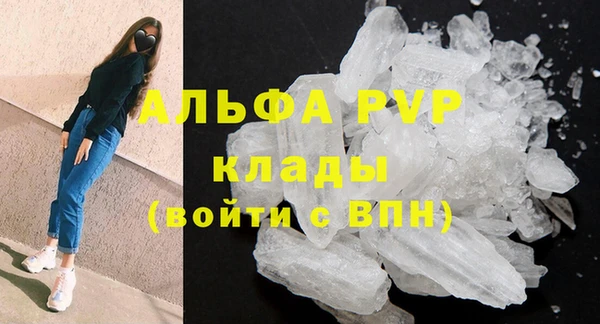 прущие грибы Беломорск